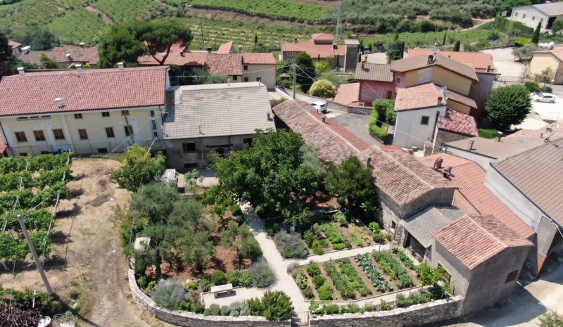 immagine annuncio 8 di 10