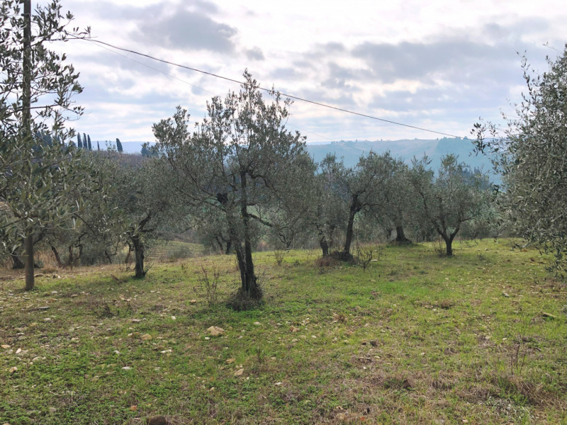immagine annuncio 8 di 9