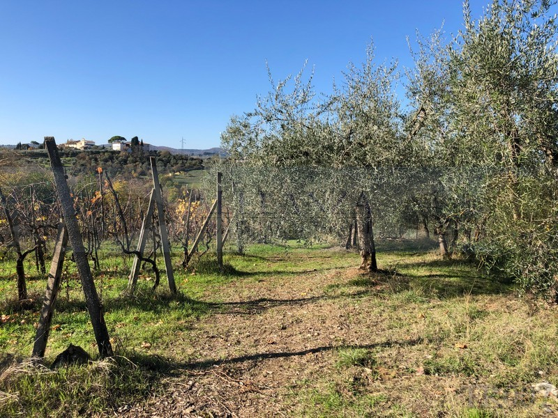 immagine annuncio 4 di 7