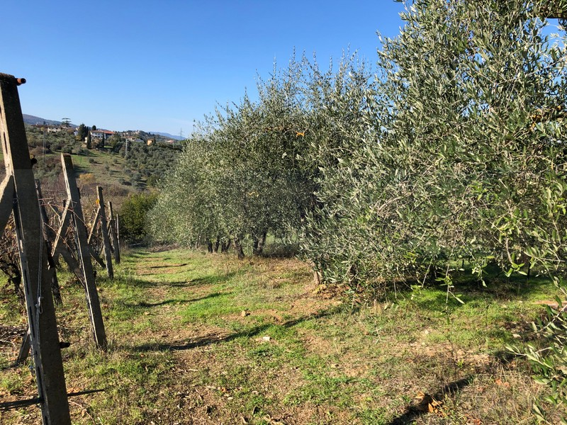 immagine annuncio 5 di 7