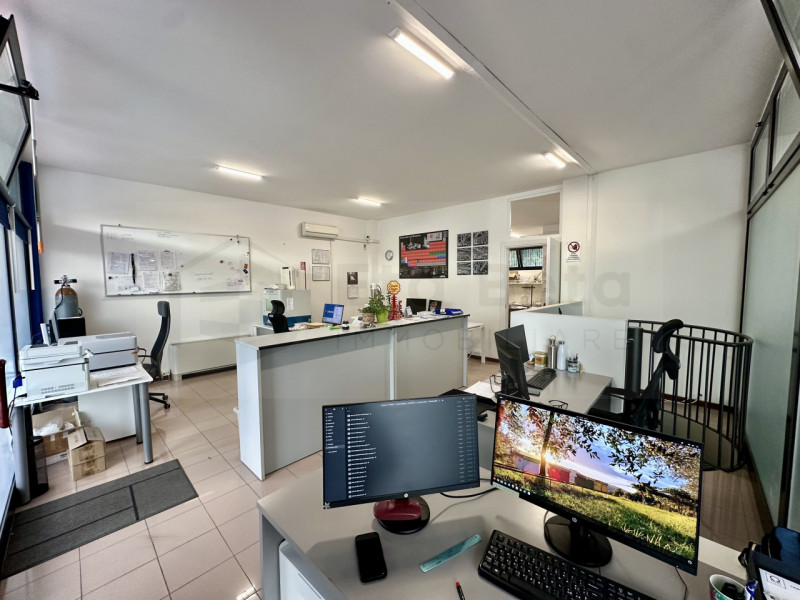 immagine annuncio 5 di 10