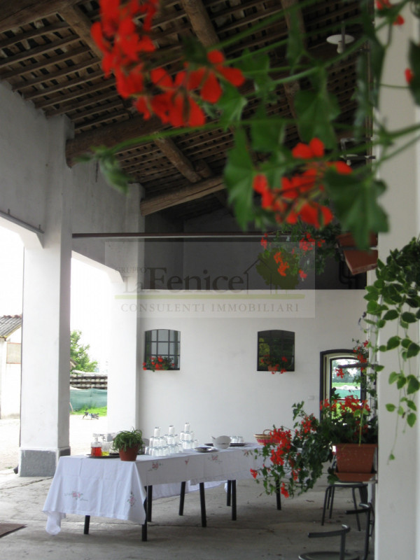 immagine annuncio 1 di 8