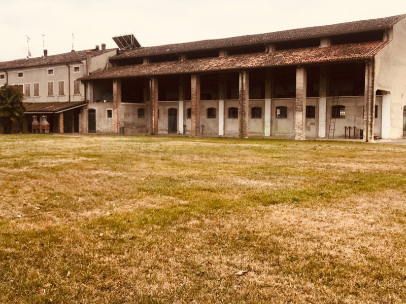 immagine annuncio 6 di 8