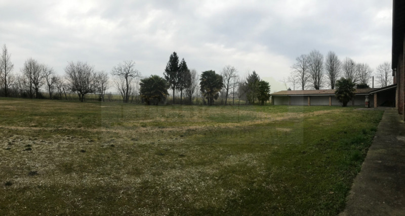 immagine annuncio 5 di 8