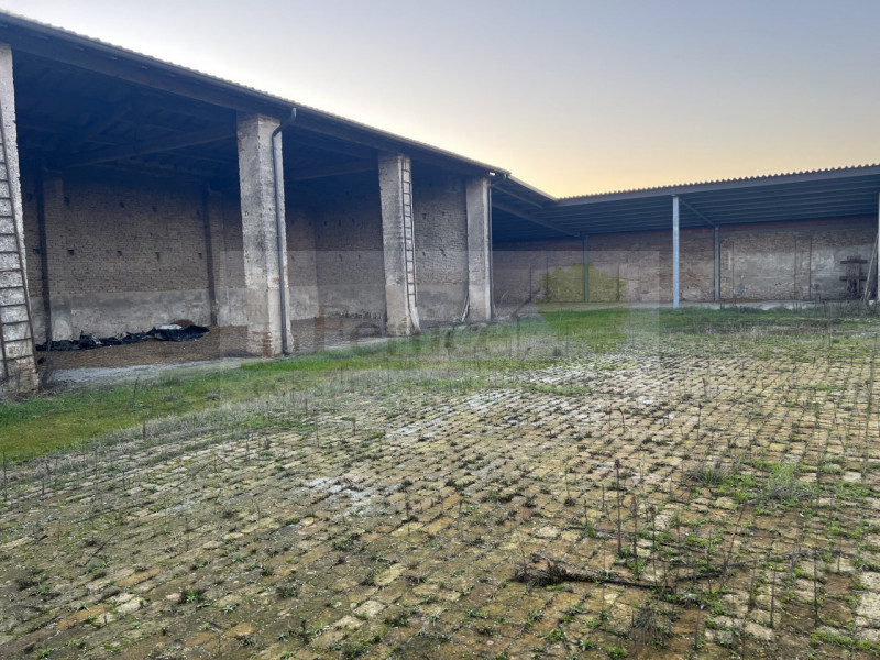 immagine annuncio 2 di 7
