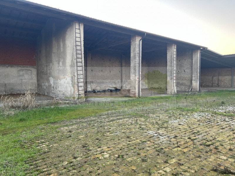 immagine annuncio 3 di 7