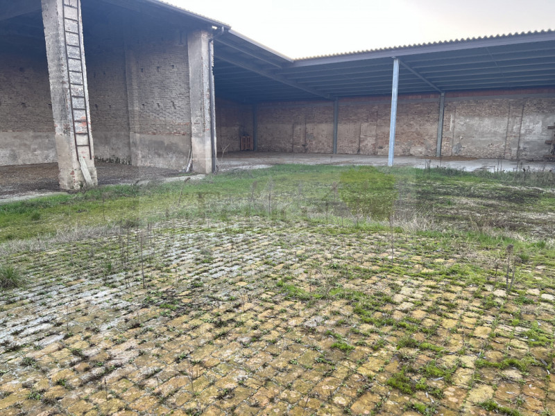 immagine annuncio 5 di 7