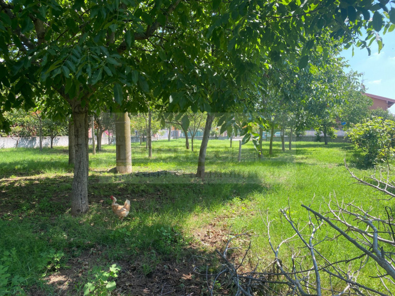 immagine annuncio 1 di 2