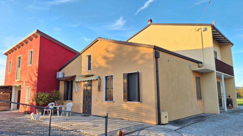 immagine annuncio 7 di 10