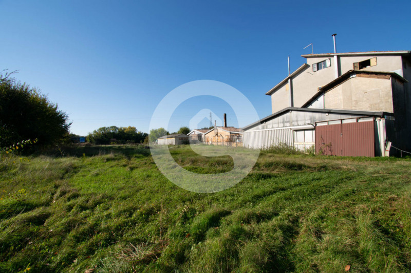 immagine annuncio 2 di 7