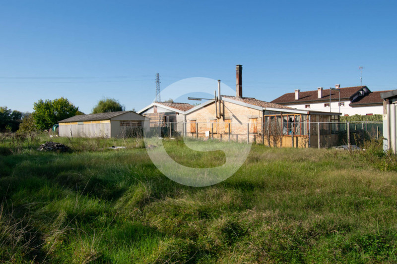 immagine annuncio 4 di 7