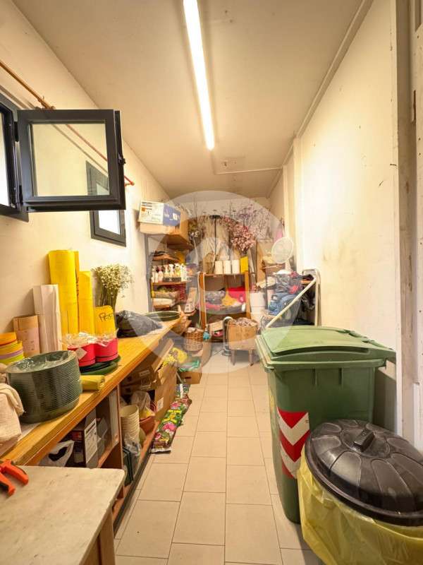 immagine annuncio 4 di 6