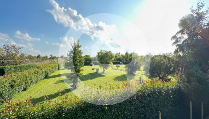 immagine annuncio 3 di 4