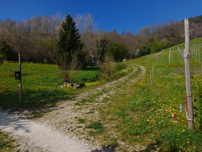 immagine annuncio 1 di 10