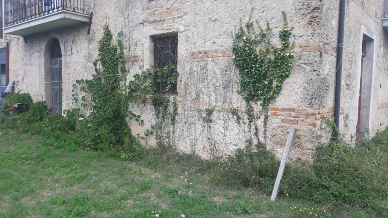 immagine annuncio 1 di 2