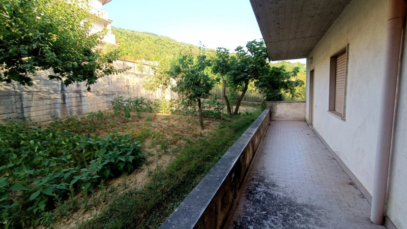immagine annuncio 5 di 8
