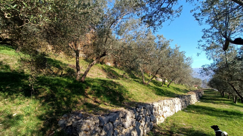immagine annuncio 1 di 9