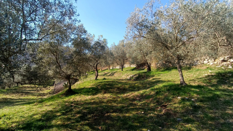 immagine annuncio 5 di 9