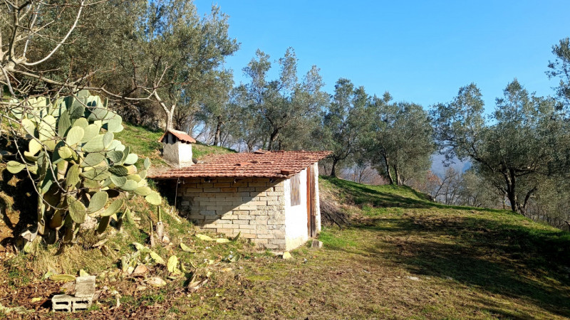 immagine annuncio 4 di 9