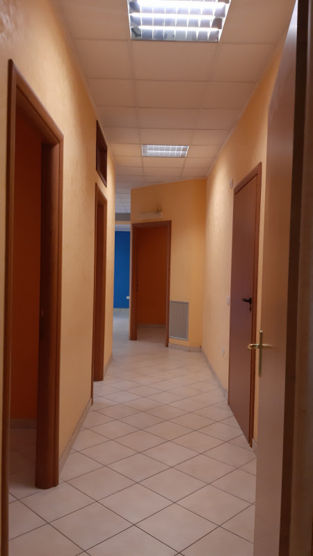 immagine annuncio 2 di 7