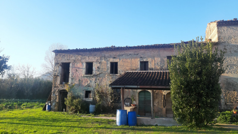 immagine annuncio 3 di 7