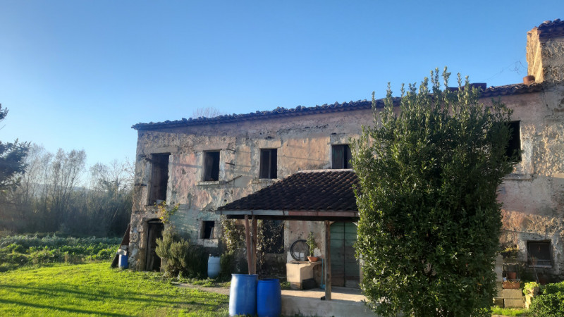 immagine annuncio 6 di 7