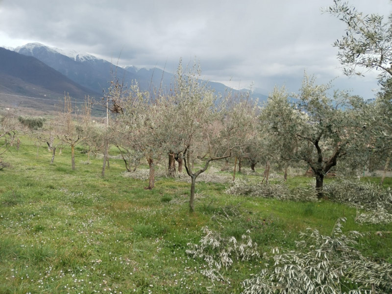 immagine annuncio 6 di 10