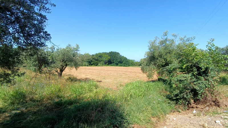 immagine annuncio 5 di 8