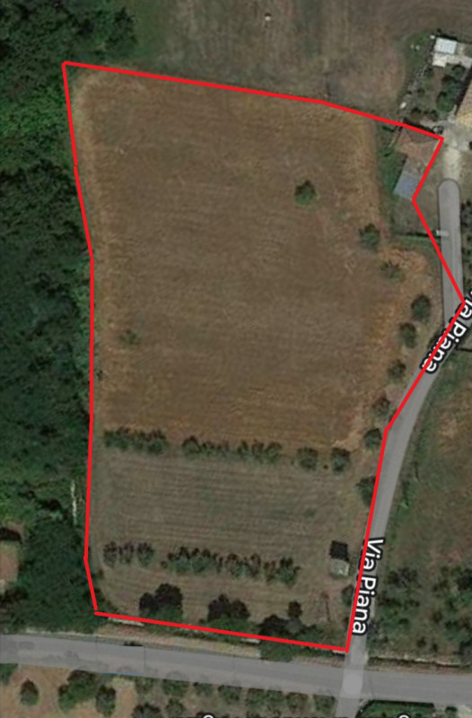 immagine annuncio 4 di 9