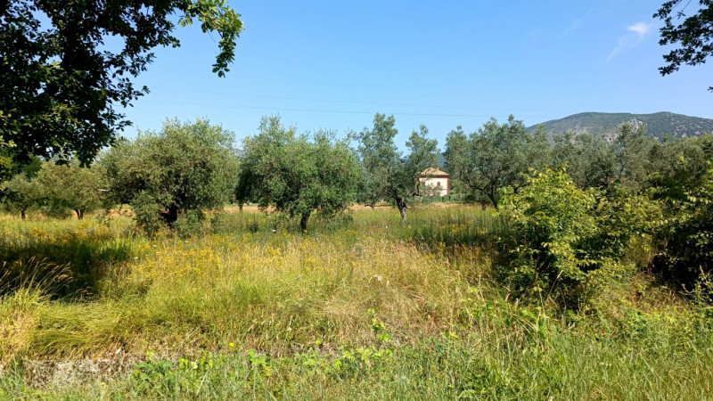 immagine annuncio 5 di 9