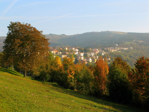 immagine annuncio 1 di 2