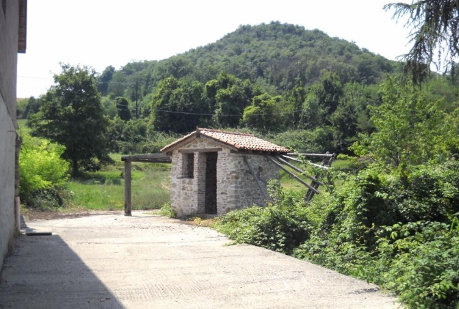 immagine annuncio 3 di 10