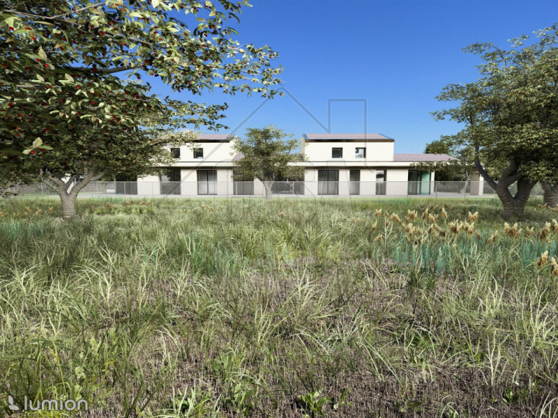 immagine annuncio 2 di 6