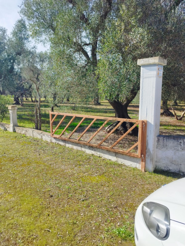 immagine annuncio 5 di 10
