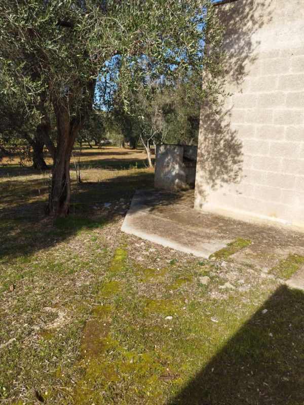 immagine annuncio 4 di 10