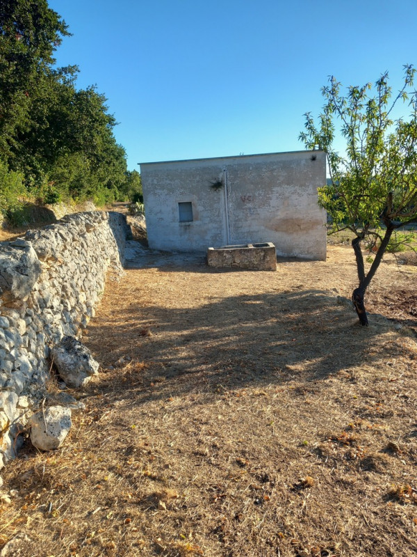 immagine annuncio 2 di 10