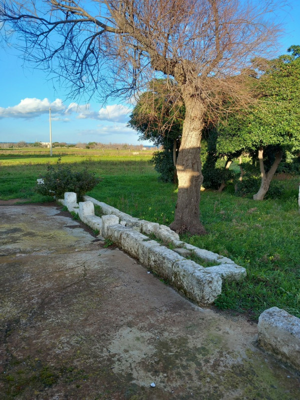 immagine annuncio 8 di 10
