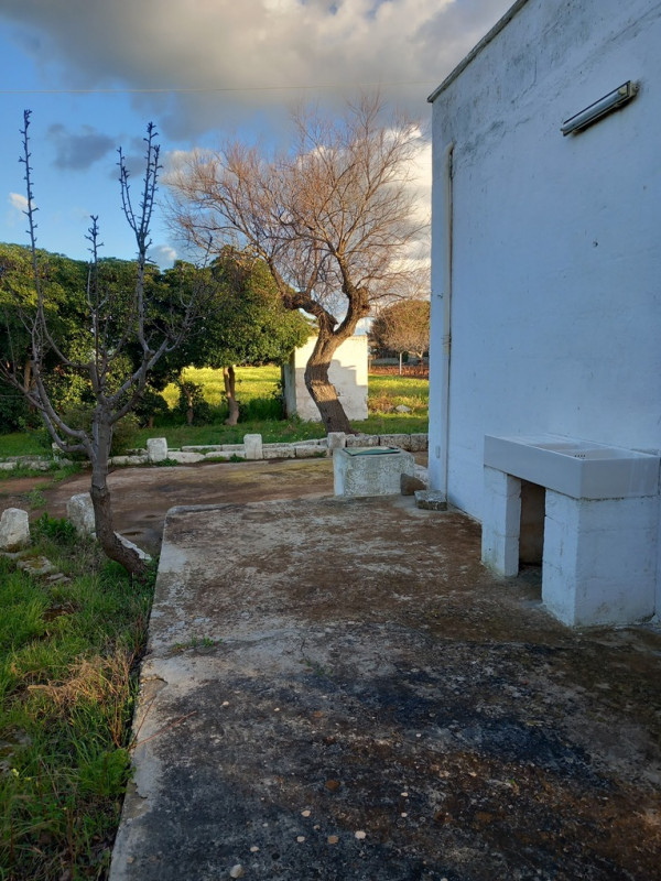 immagine annuncio 1 di 10