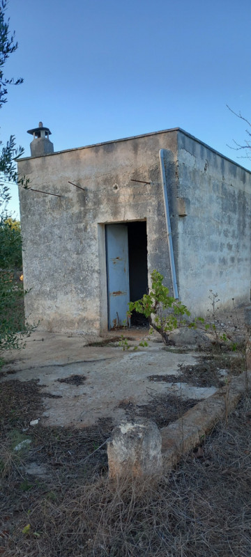 immagine annuncio 6 di 10