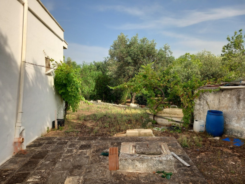 immagine annuncio 6 di 10