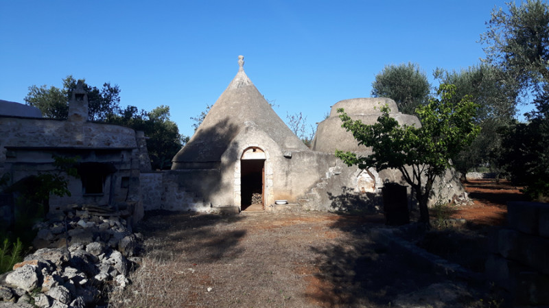 immagine annuncio 1 di 10