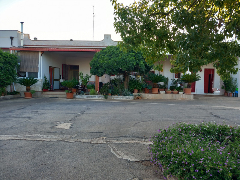 immagine annuncio 3 di 10