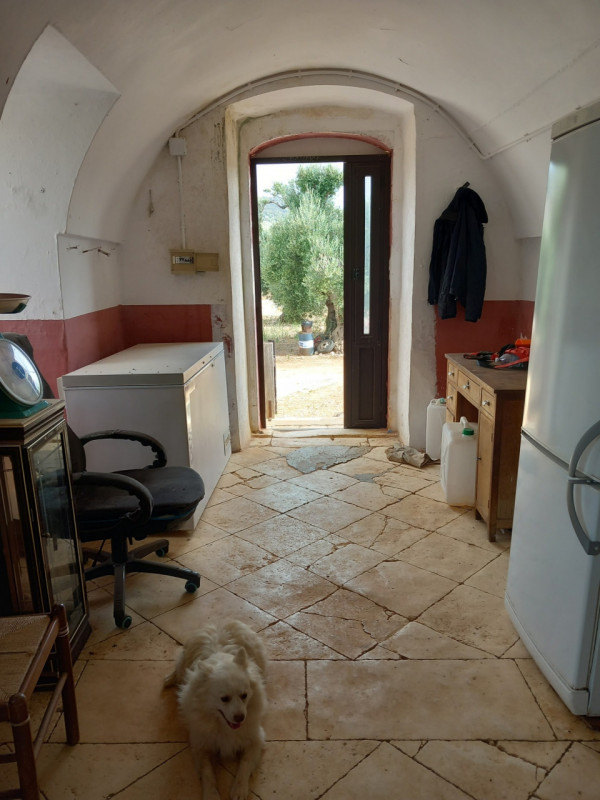 immagine annuncio 3 di 10