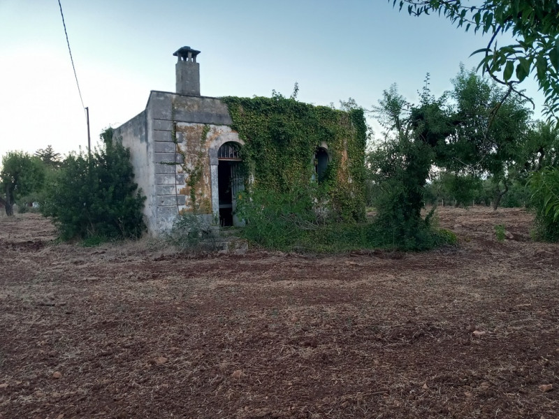 immagine annuncio 8 di 10