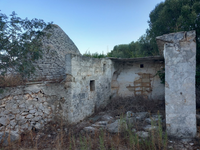 immagine annuncio 3 di 10