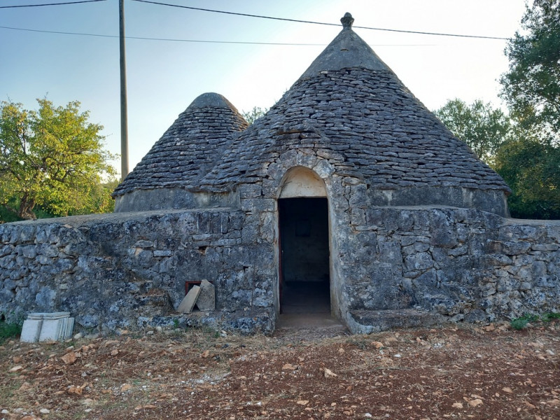 immagine annuncio 1 di 10