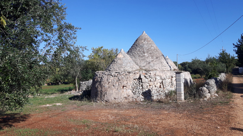 immagine annuncio 1 di 10