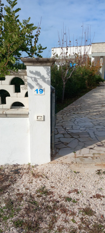 immagine annuncio 3 di 10