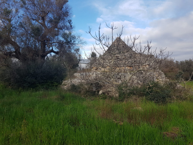 immagine annuncio 2 di 8