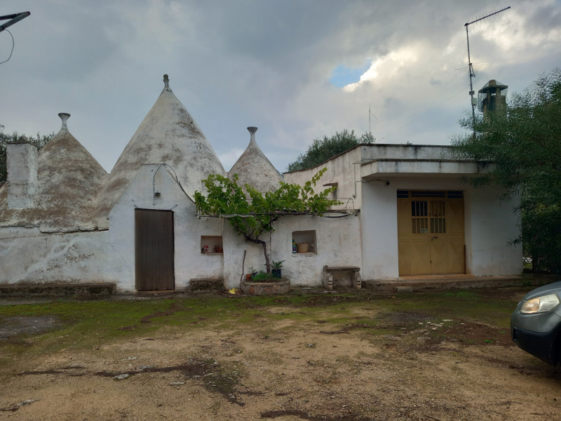 immagine annuncio 1 di 10